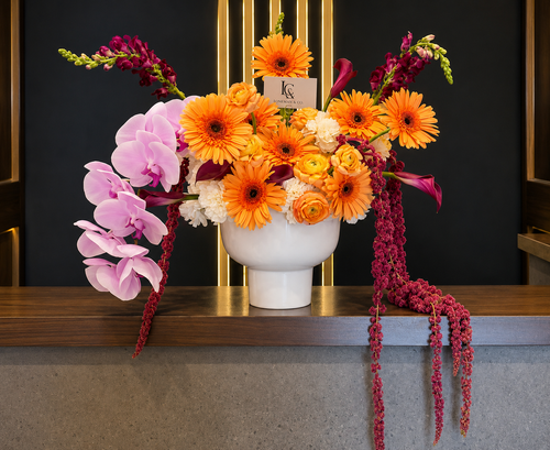 Amber Cascade arrangement by Lenorah & Co. — amber gerbera daisies, wine-dark snapdragons and blush phalaenopsis orchids spilling over a matte white vessel.